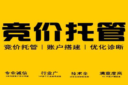 行业领先的SEM竞价广告投放案例
